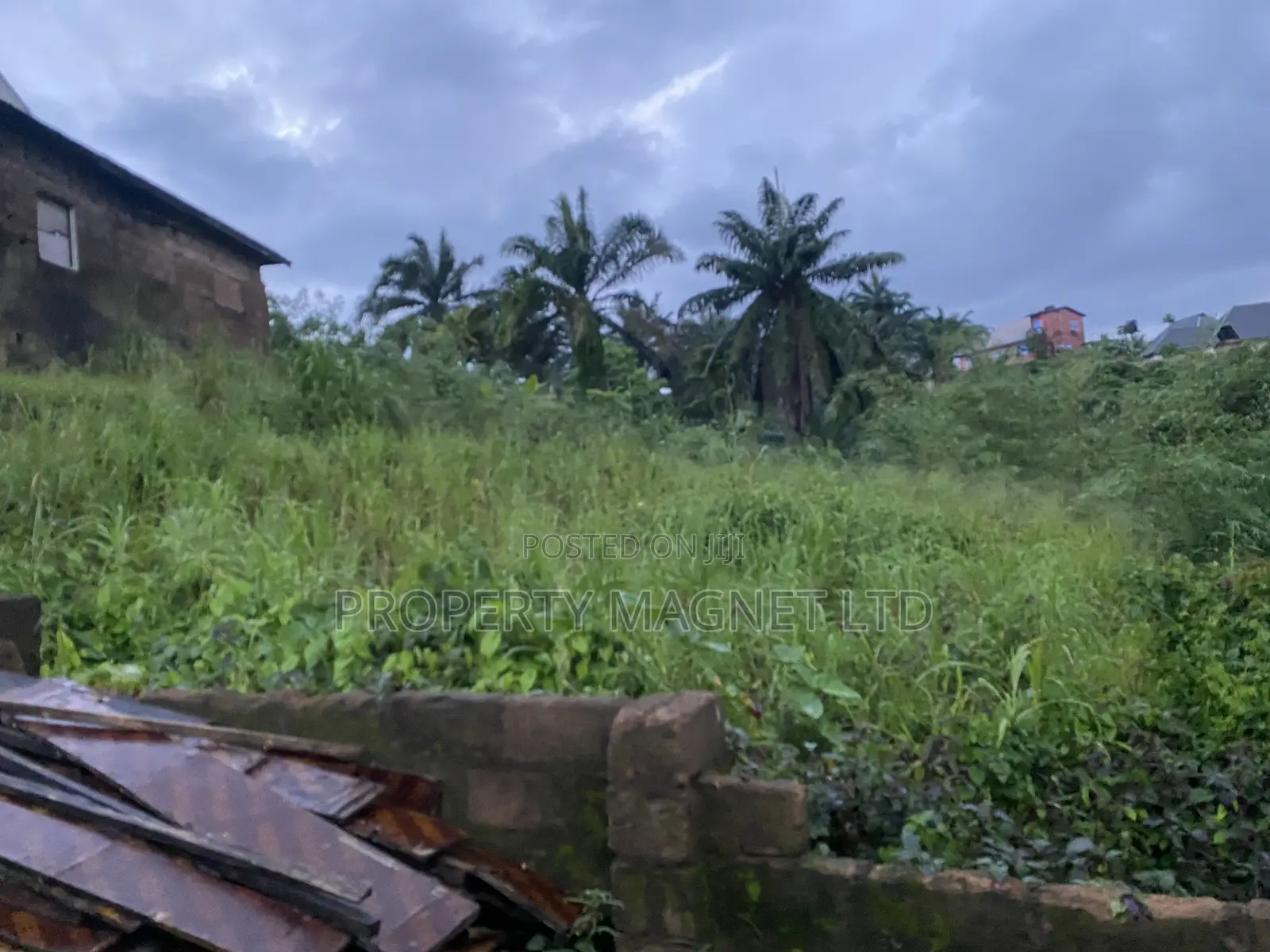 Amuzukwu Ibeku 1 Plot for Sale