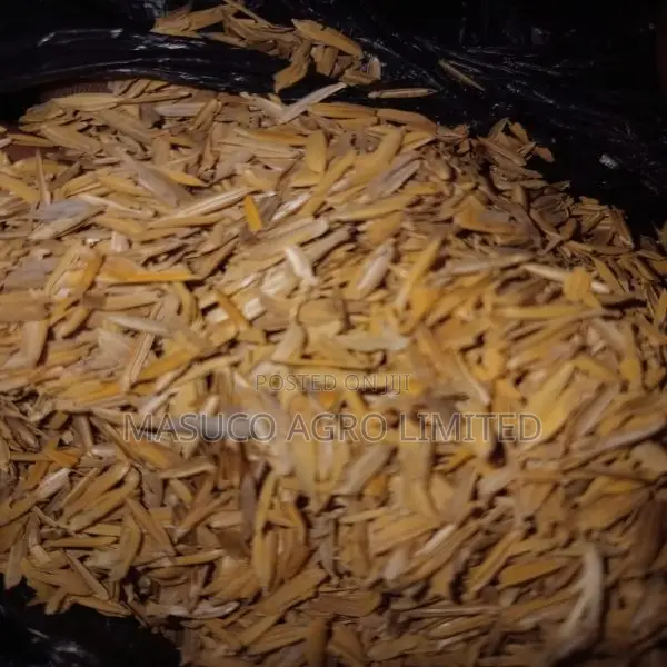 Rice Husk in Bulk
