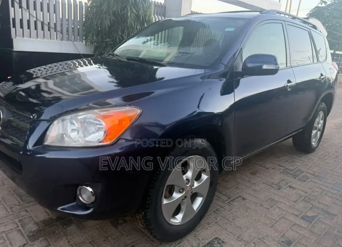 Toyota RAV4 2.0 VVT-i 2008 Blue