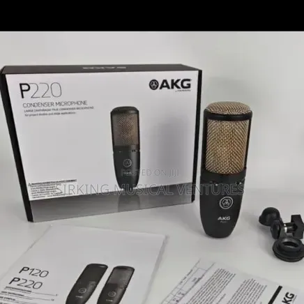 AKG P220 Studio Condenser Microphone