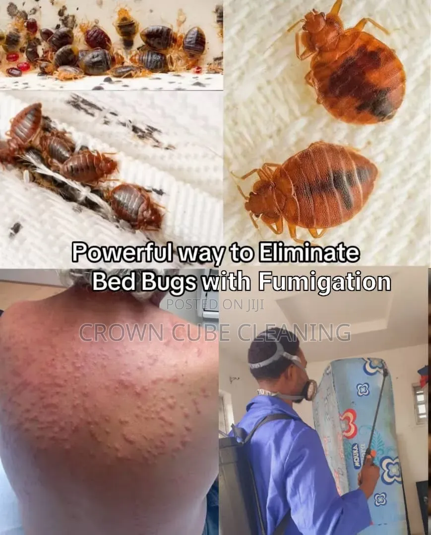 Best Fumigation Services in Agege/ Abuleegba