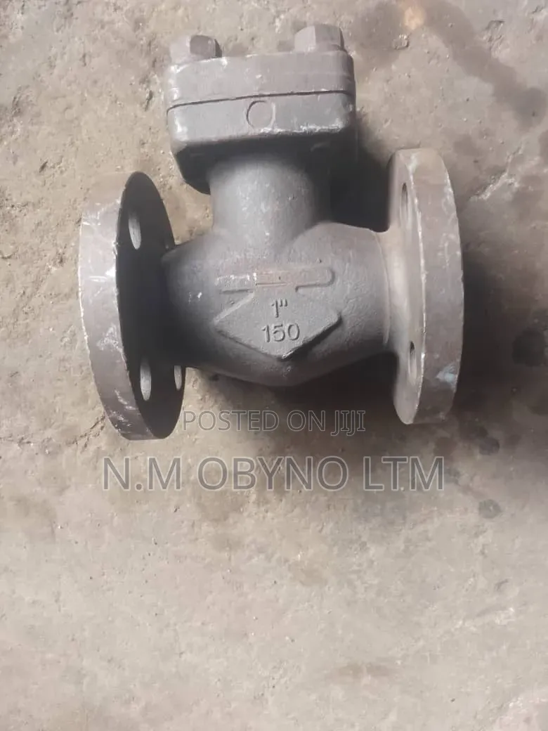 1" X 150 Check Valve
