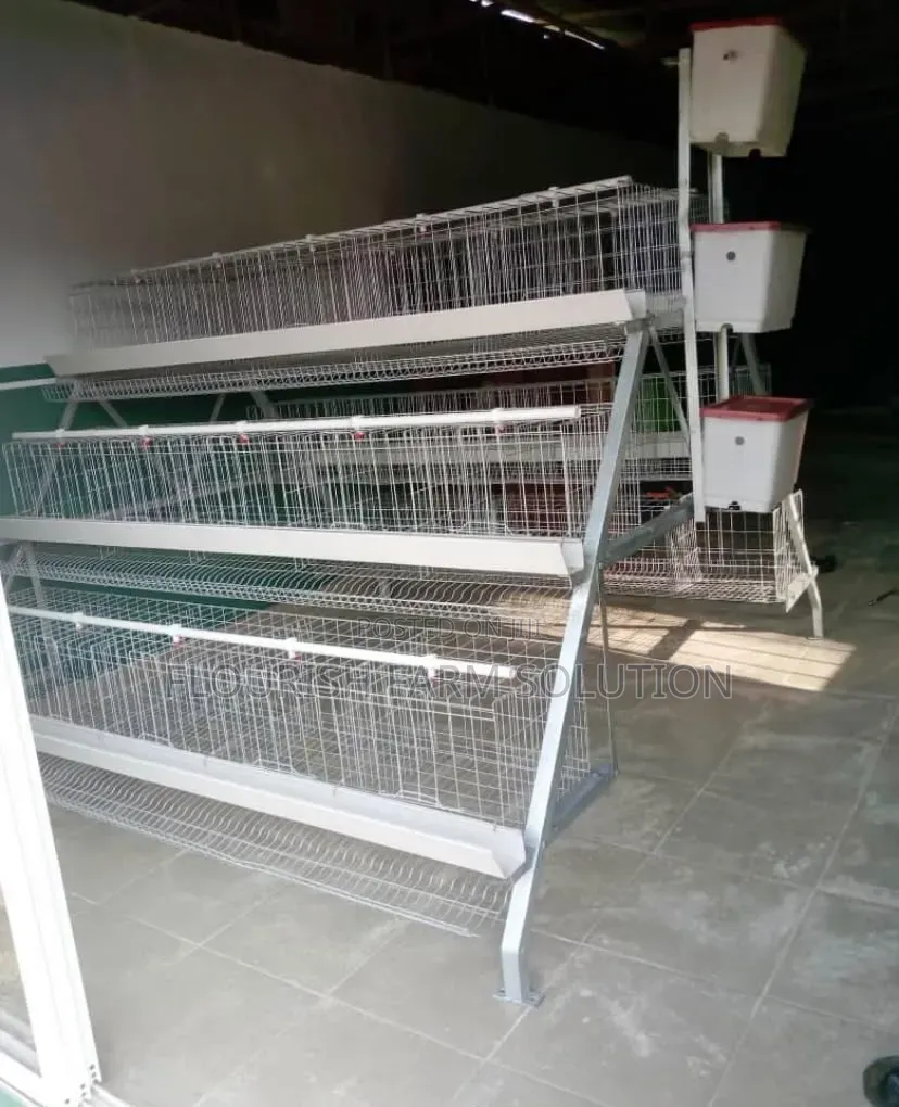 Ambassador Poultry Cage