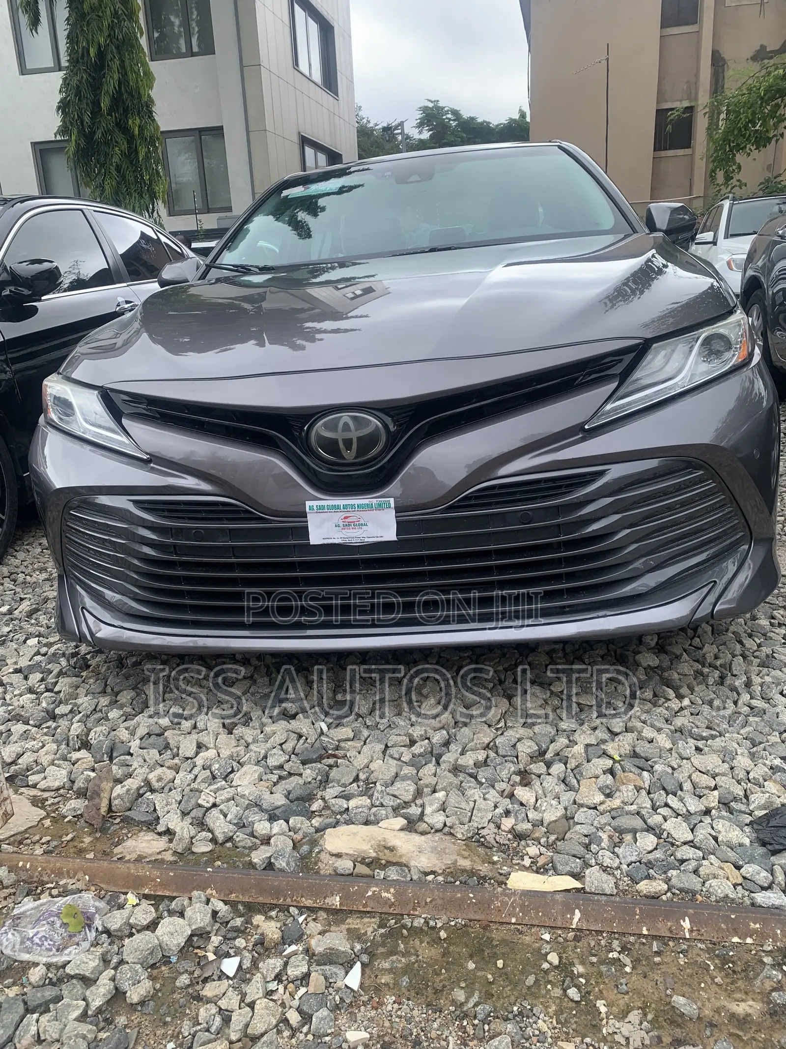 Toyota Camry XLE (2.5L 4cyl 8A) 2019 Gray