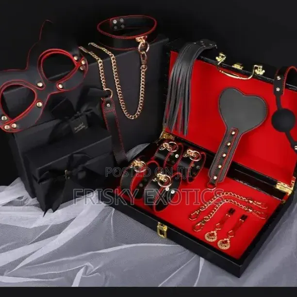 Luxury BDSM Kit With Suitcase