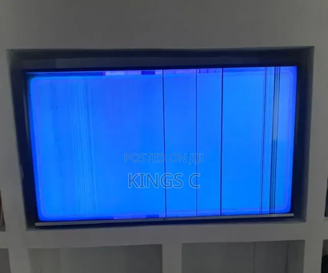 TV Screen Issue