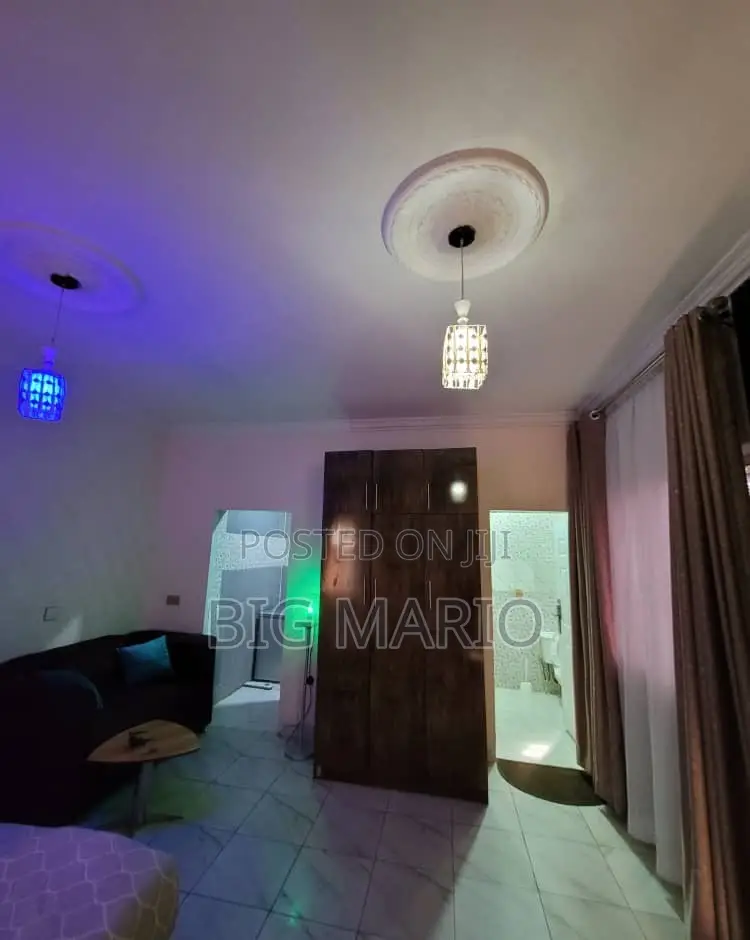 Furnished Studio Apartment in Asokoro for rent