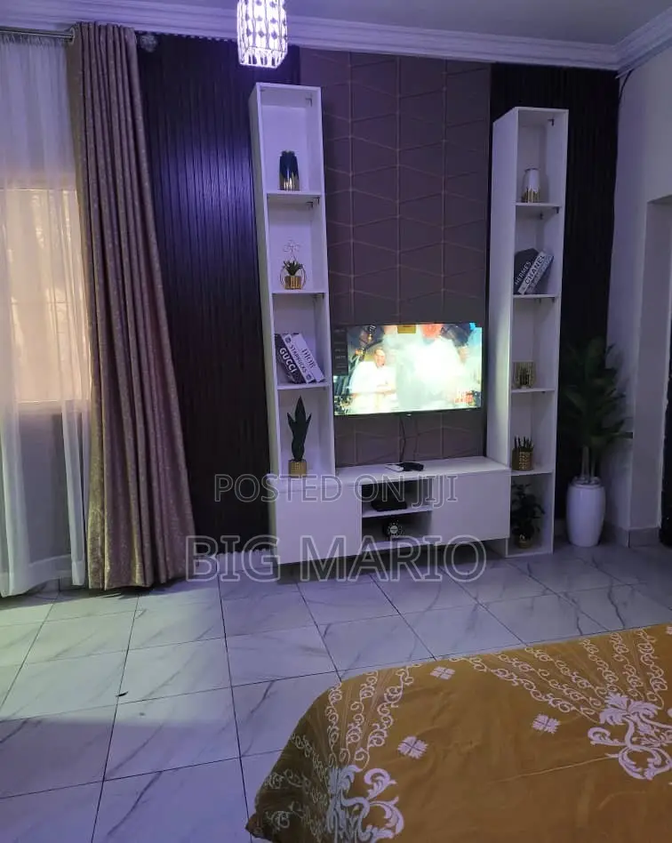 Furnished Studio Apartment in Asokoro for rent