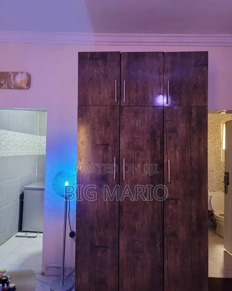 Furnished Studio Apartment in Asokoro for rent
