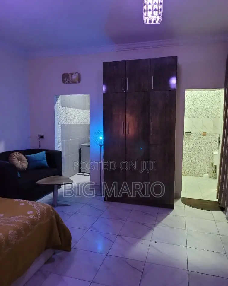 Furnished Studio Apartment in Asokoro for rent
