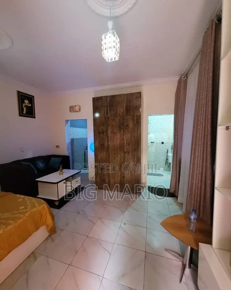 Furnished Studio Apartment in Asokoro for rent