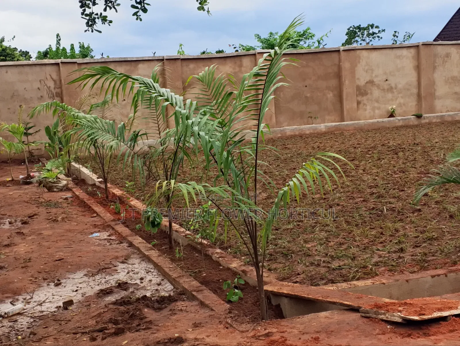 JT Premier Flower Garden Owerri Imo State