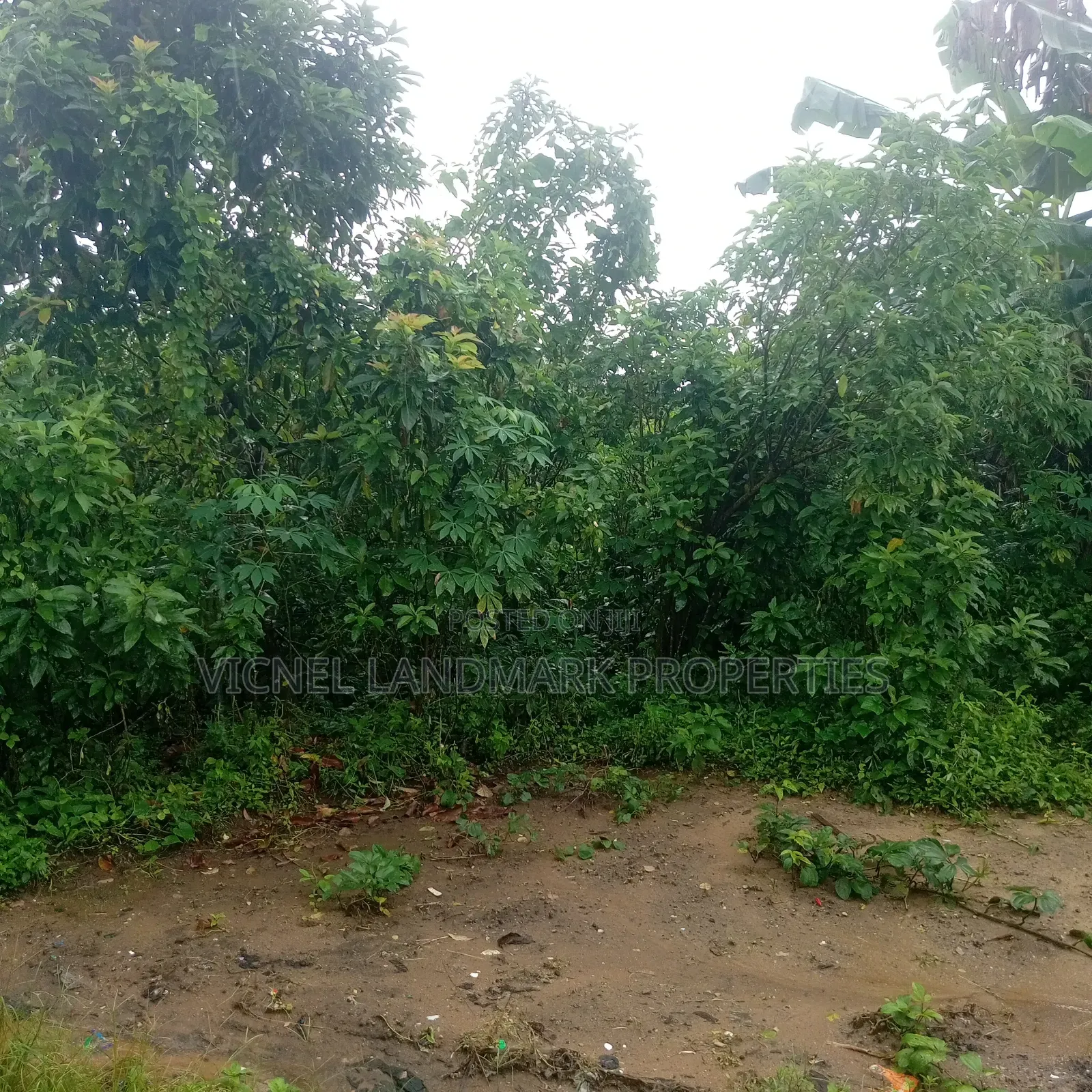 River View Estate, Iwofe, Rumuolumeni, Portharcourt, Rivers State