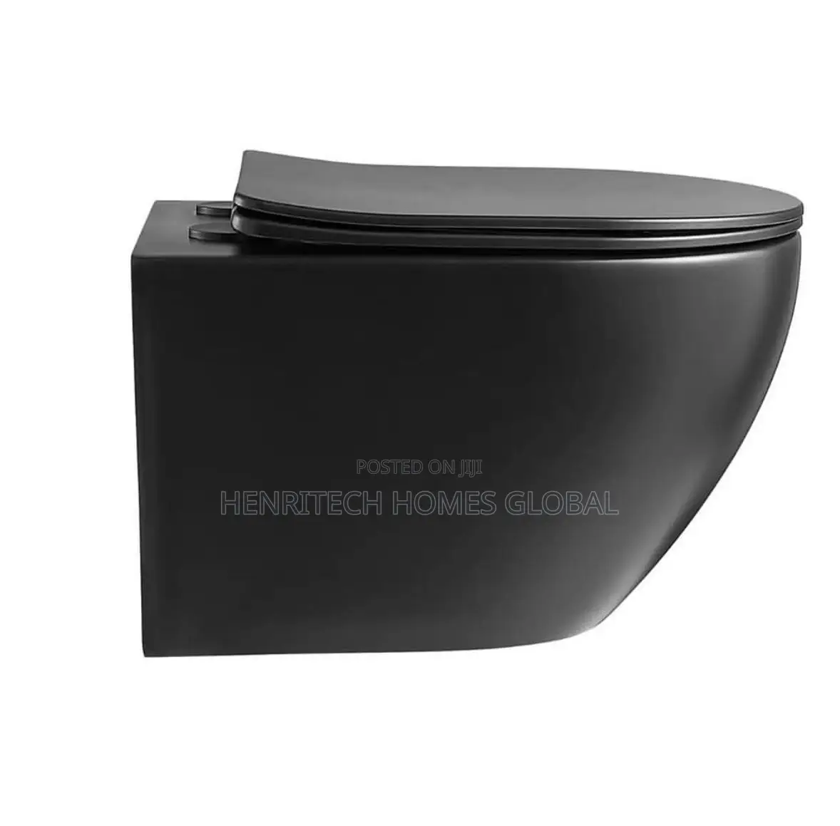 Black Matt Conceal Water Closet Premium Quality England Standard