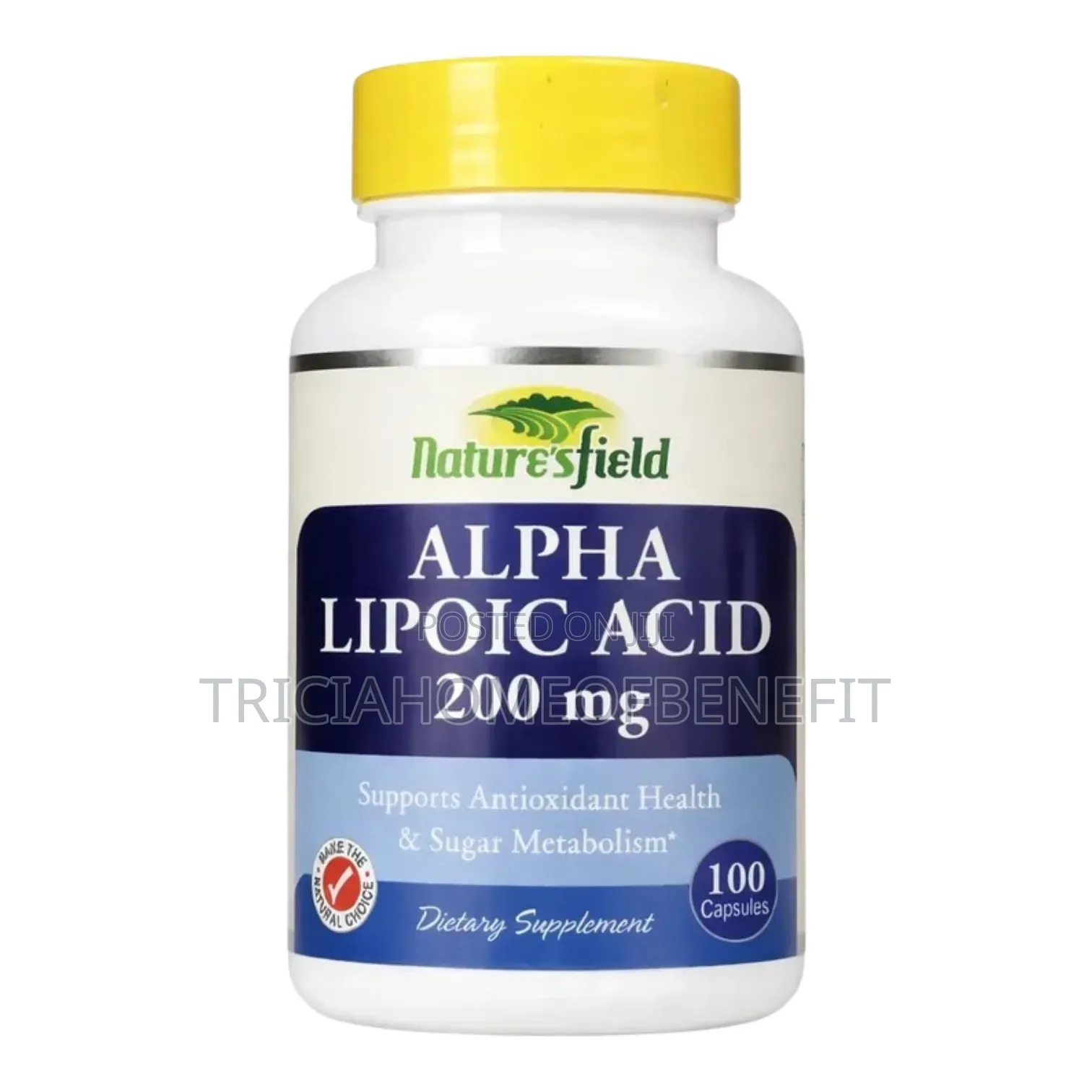 Nature’s Field Alpha Lipoic Acid — 100 Capsules