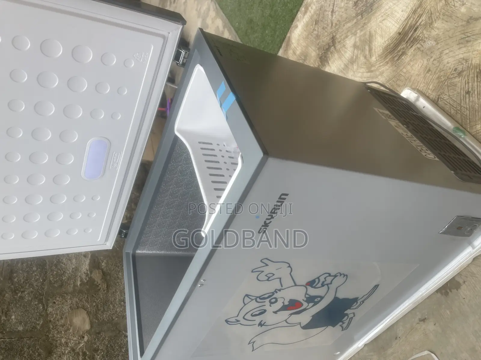 Skyrun BCD-250AI 200L Inverter Freezer – Power Meets Performance
