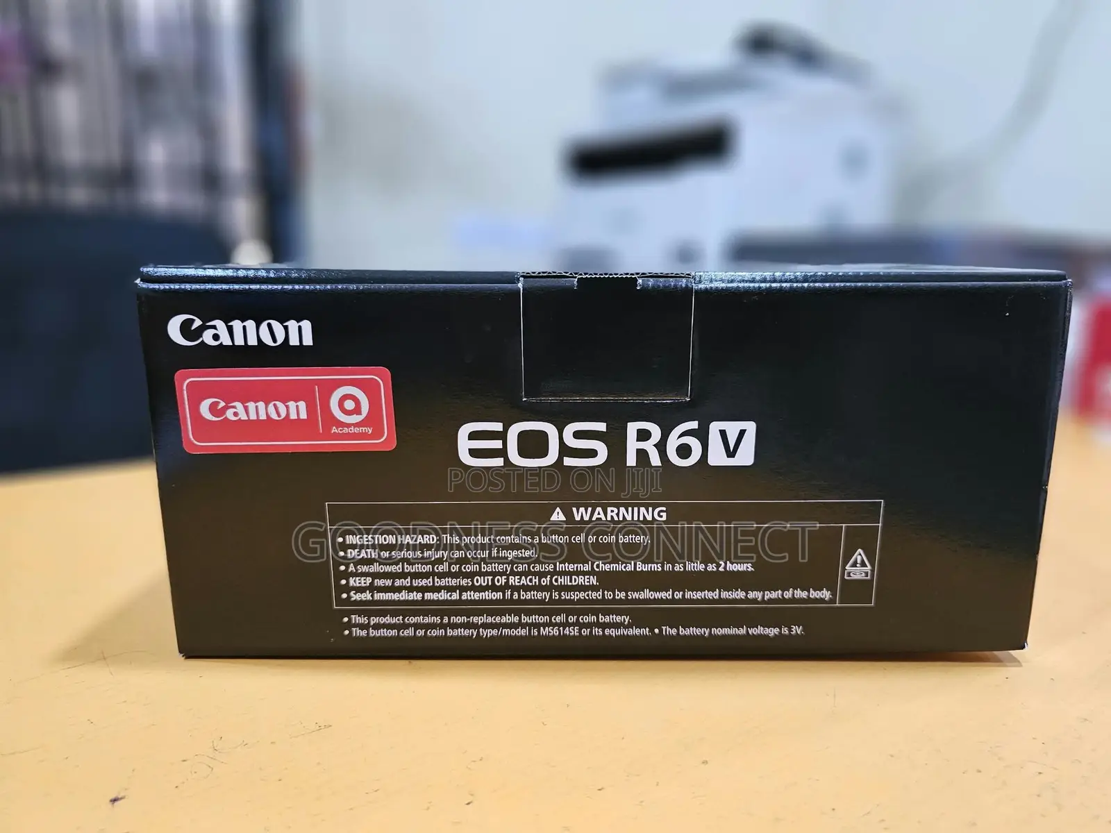 Canon Eos R6 V