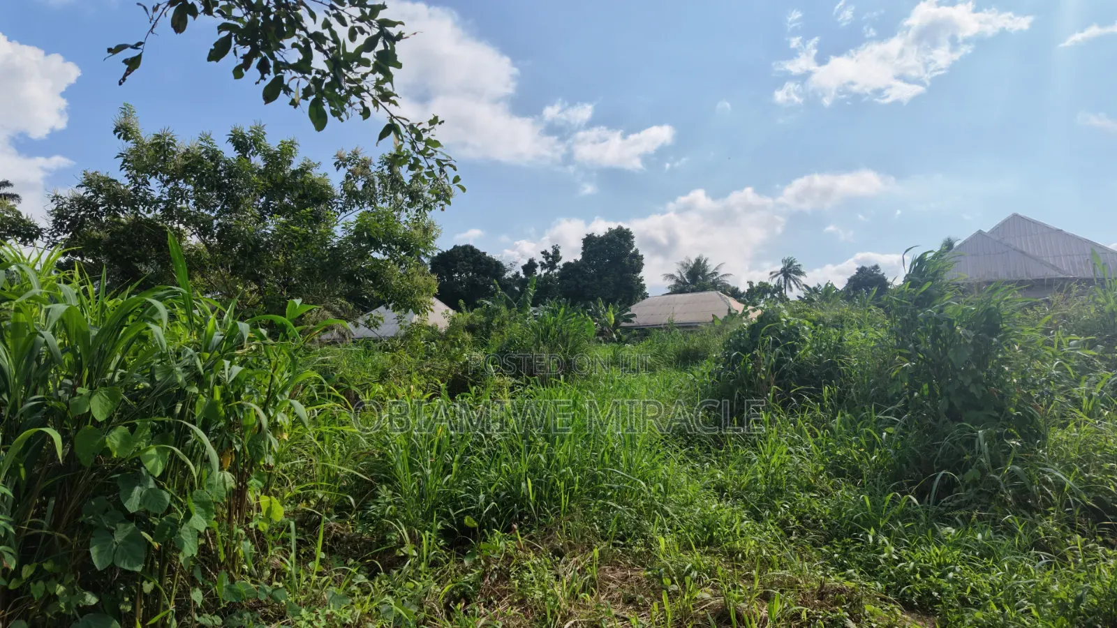 4 Plots of Land Available Umuahia