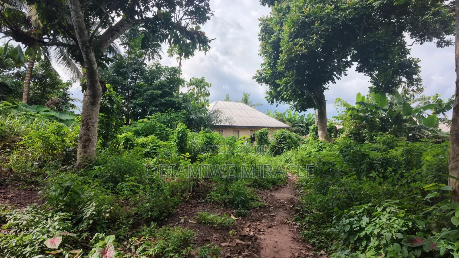 4 Plots of Land Available Umuahia