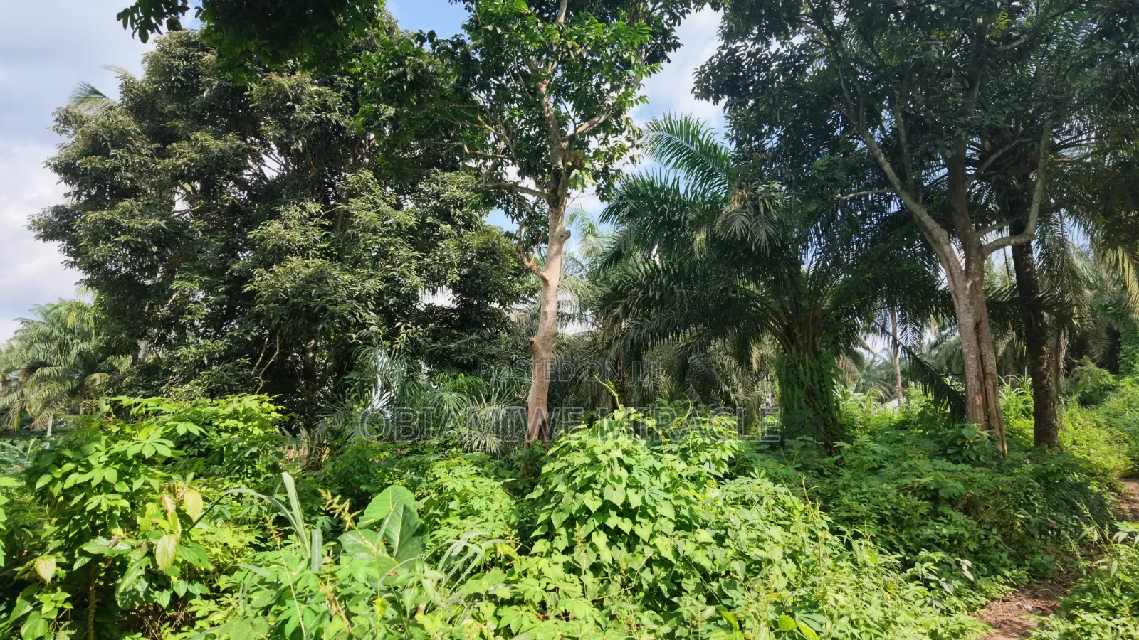 4 Plots of Land Available Umuahia
