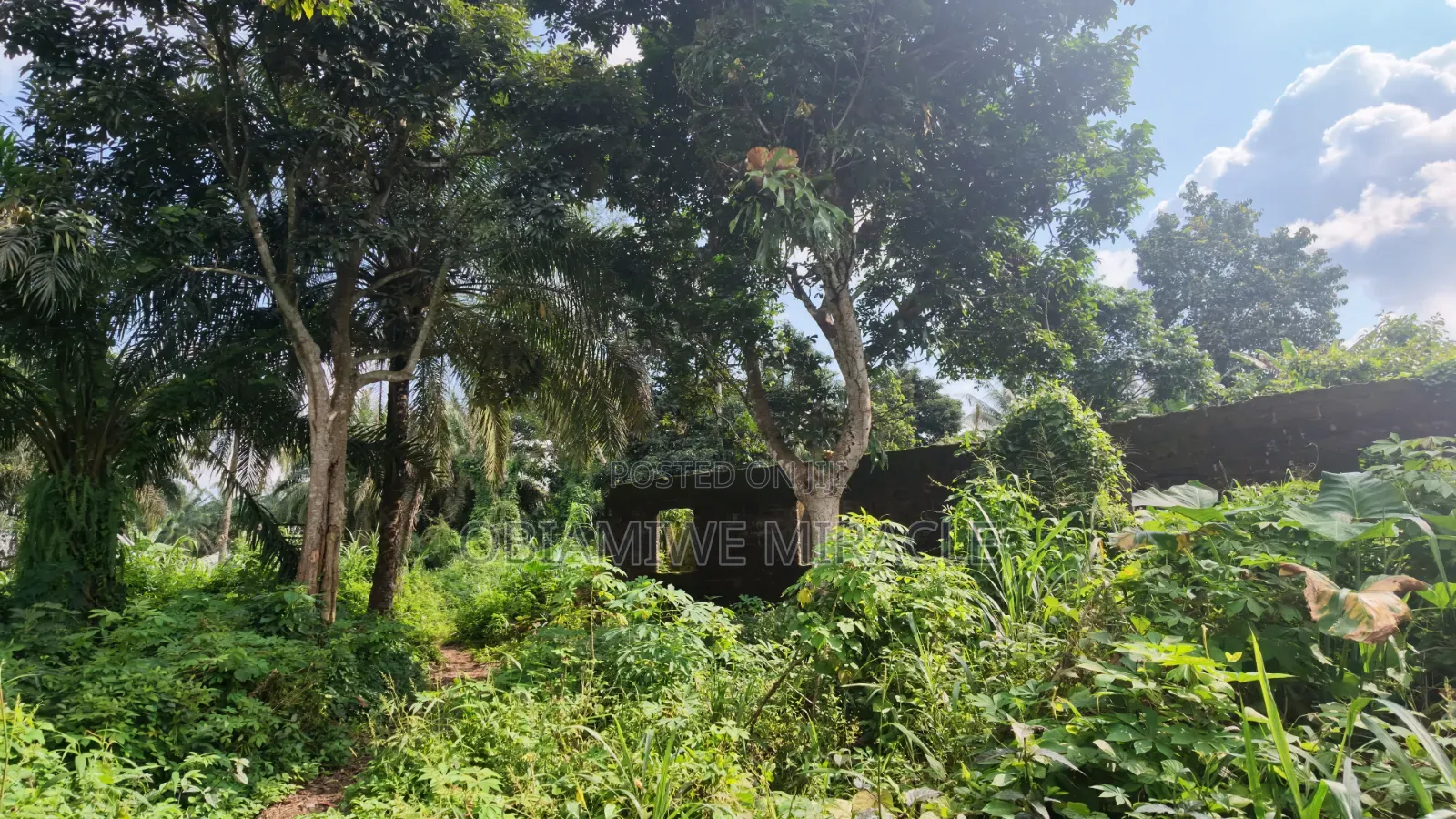 4 Plots of Land Available Umuahia