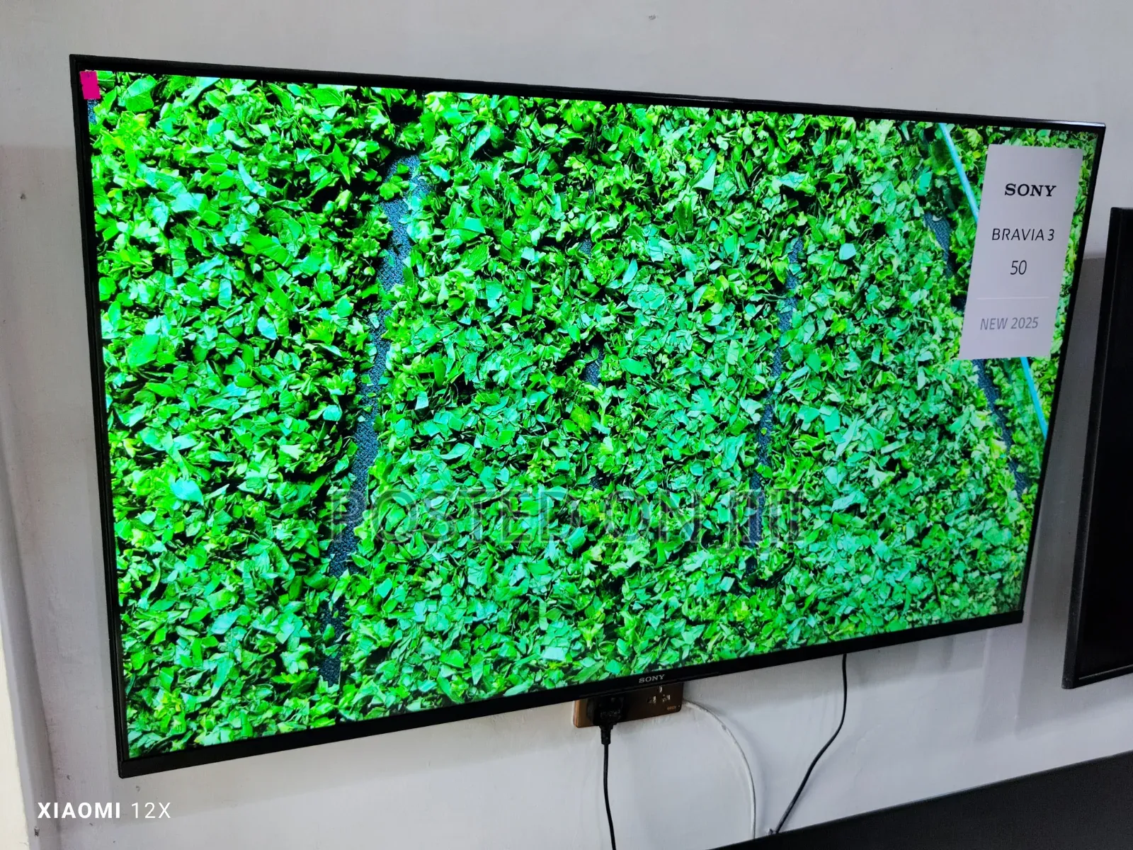 50" Sony Bravia 3 Android HDR Google Sleek Smart TV 2025Model