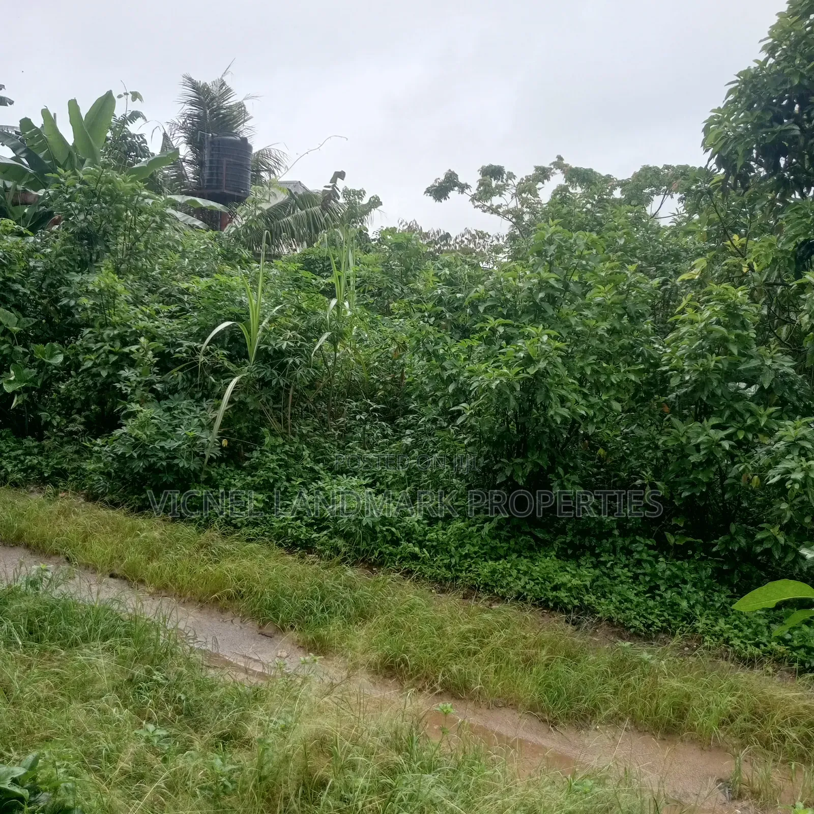 Apex Estates 1, Sars Road, Portharcourt, Close to Suntai Event Centre