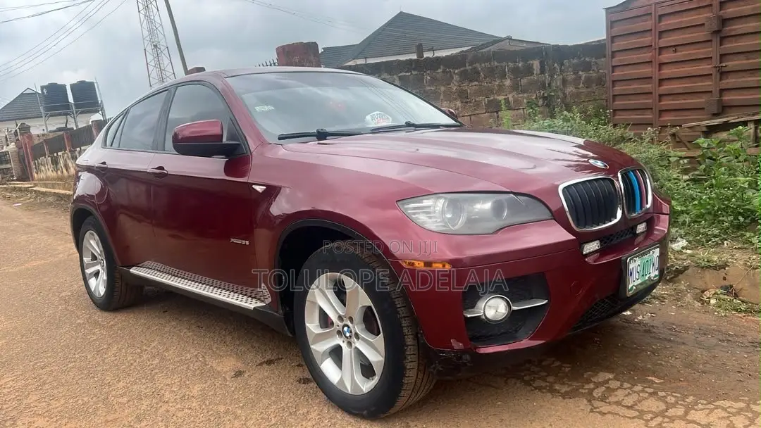 BMW X6 xDrive30d 2010 Burgundy