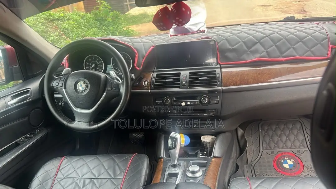 BMW X6 xDrive30d 2010 Burgundy