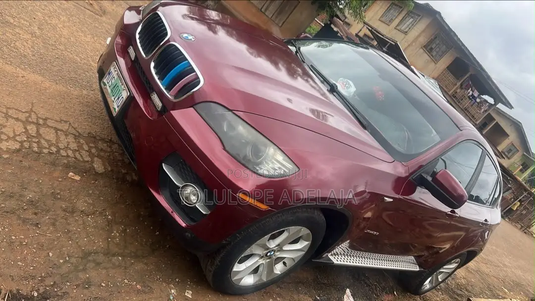 BMW X6 xDrive30d 2010 Burgundy