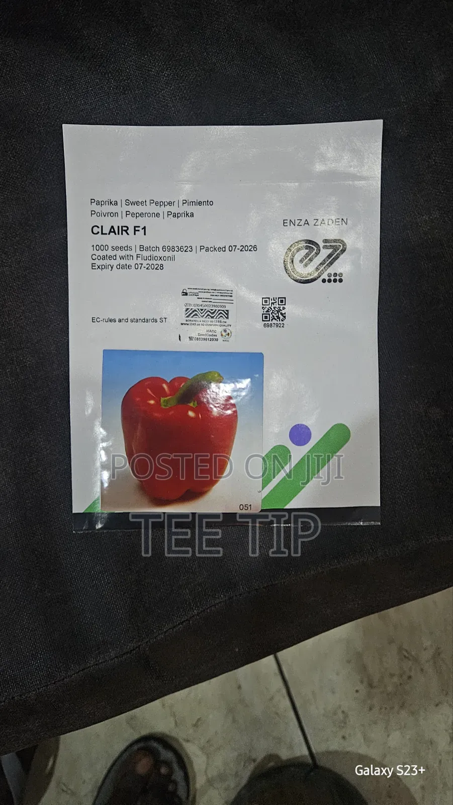 Clair F1 Bell Pepper Seed