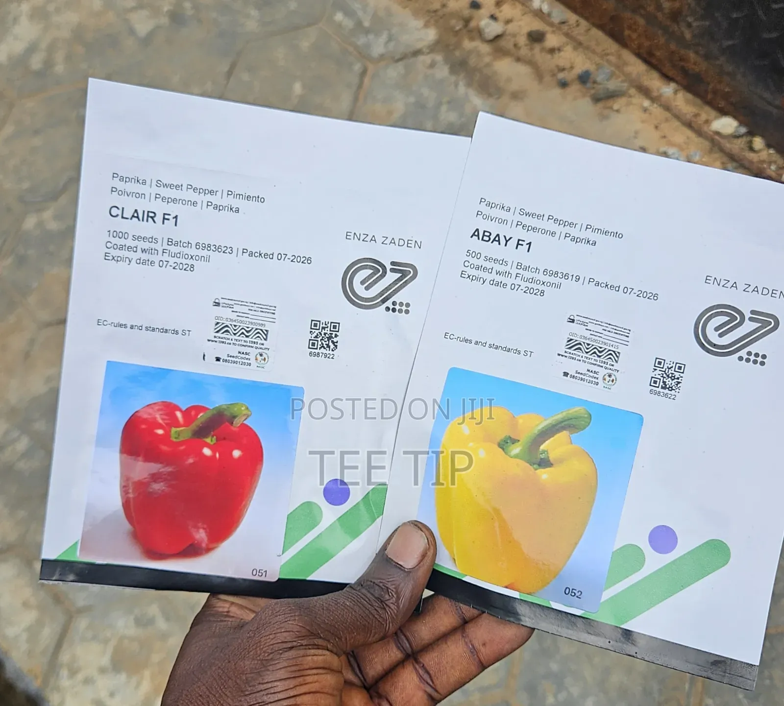 Abay F1 Bell Pepper Seed