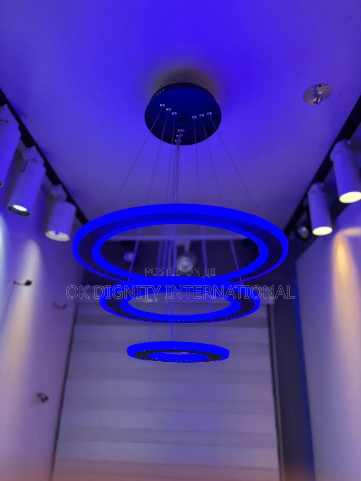 Luxury Ring LED Chandelier