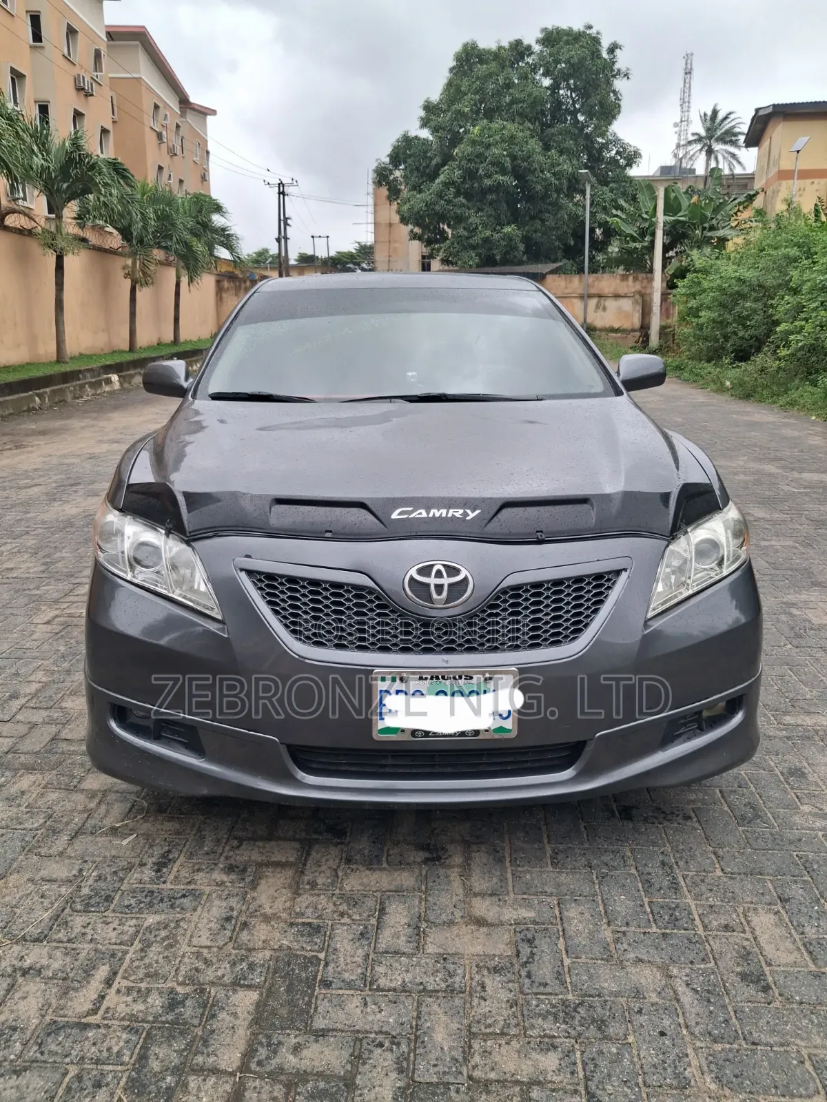 Toyota Camry 2009 Gray