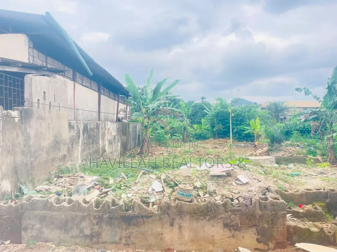 Half Plot of Land for Sale