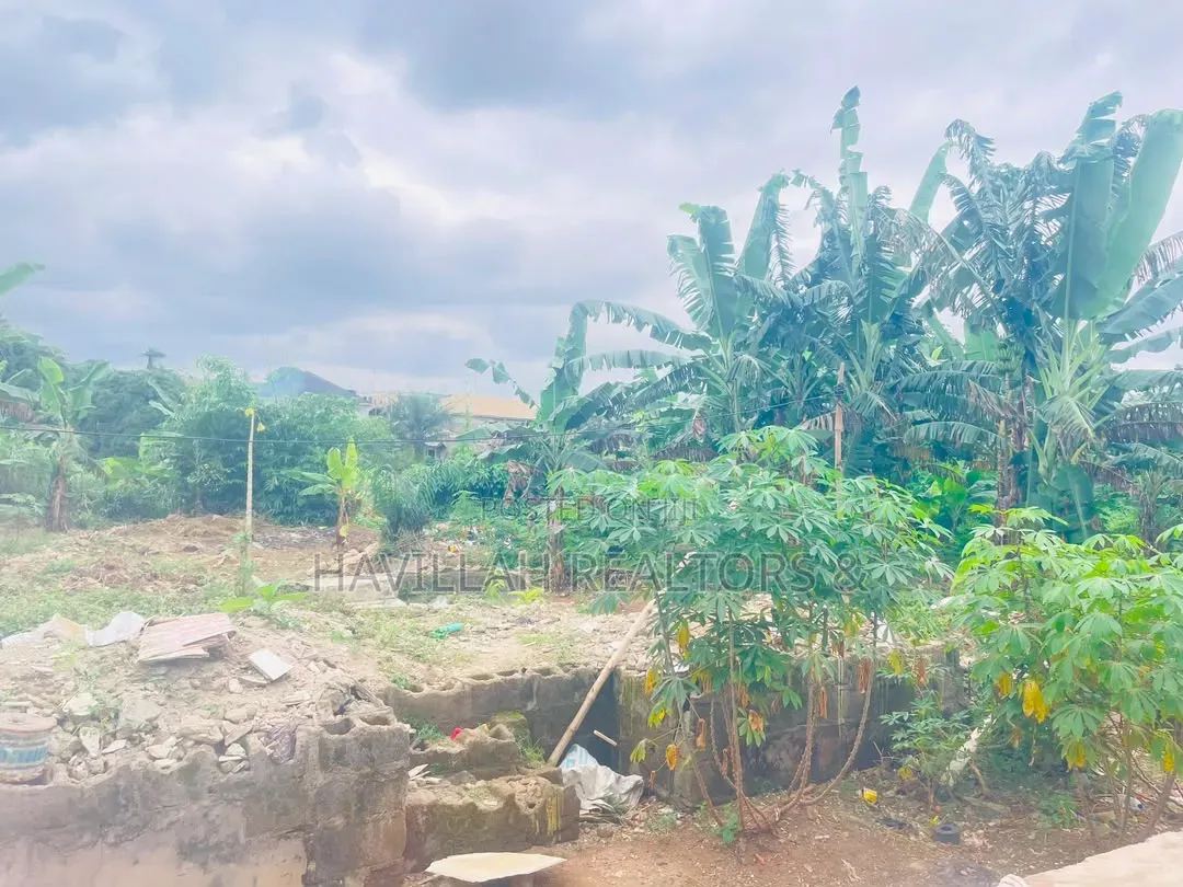 Half Plot of Land for Sale