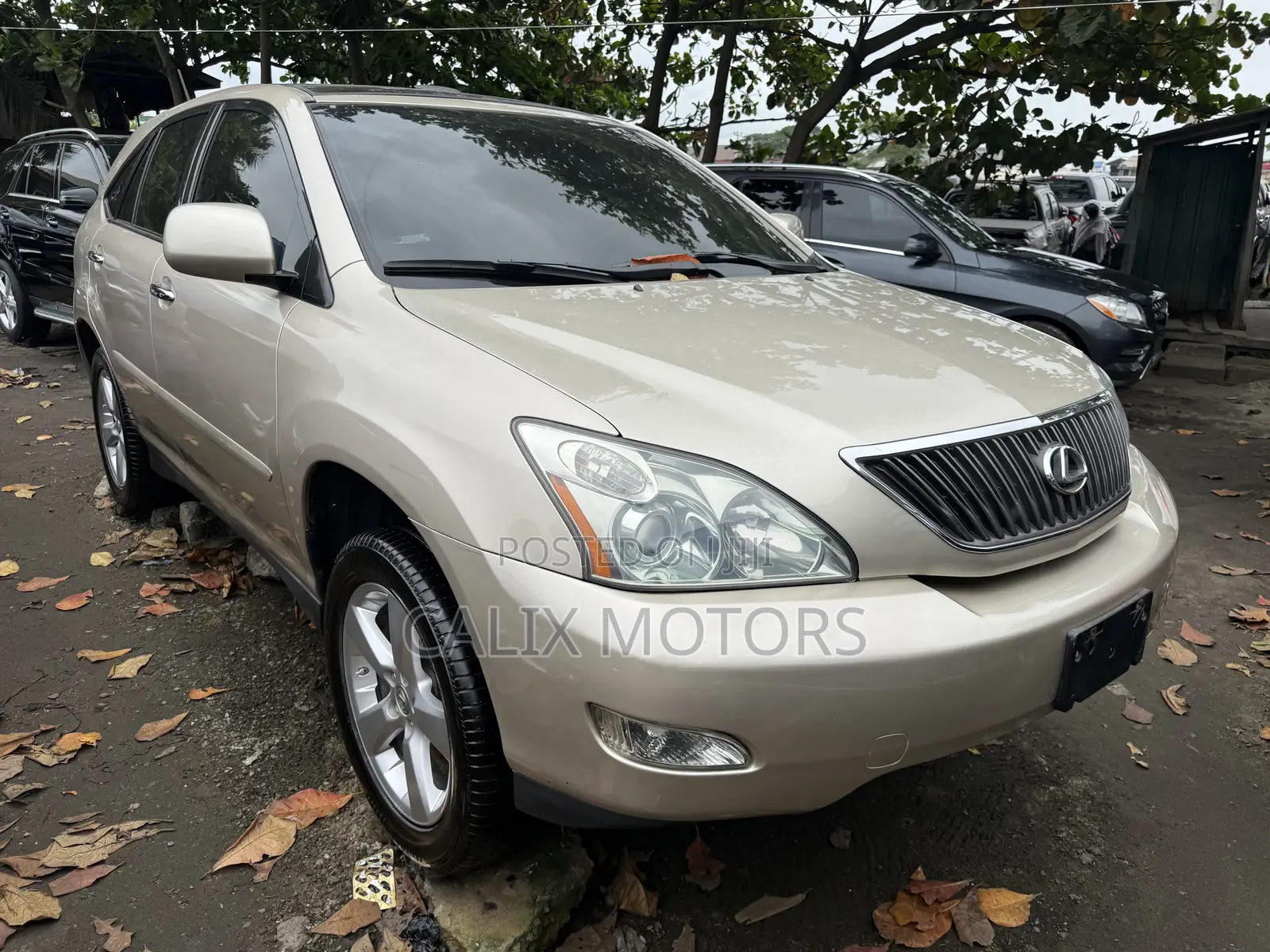 Lexus RX 2006 Gold