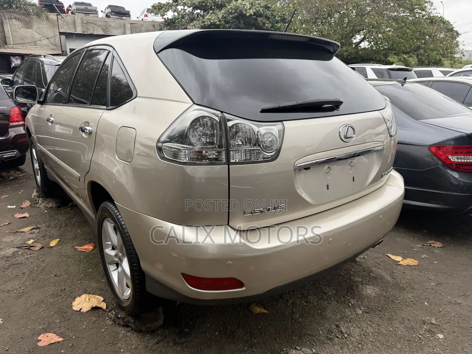 Lexus RX 2006 Gold