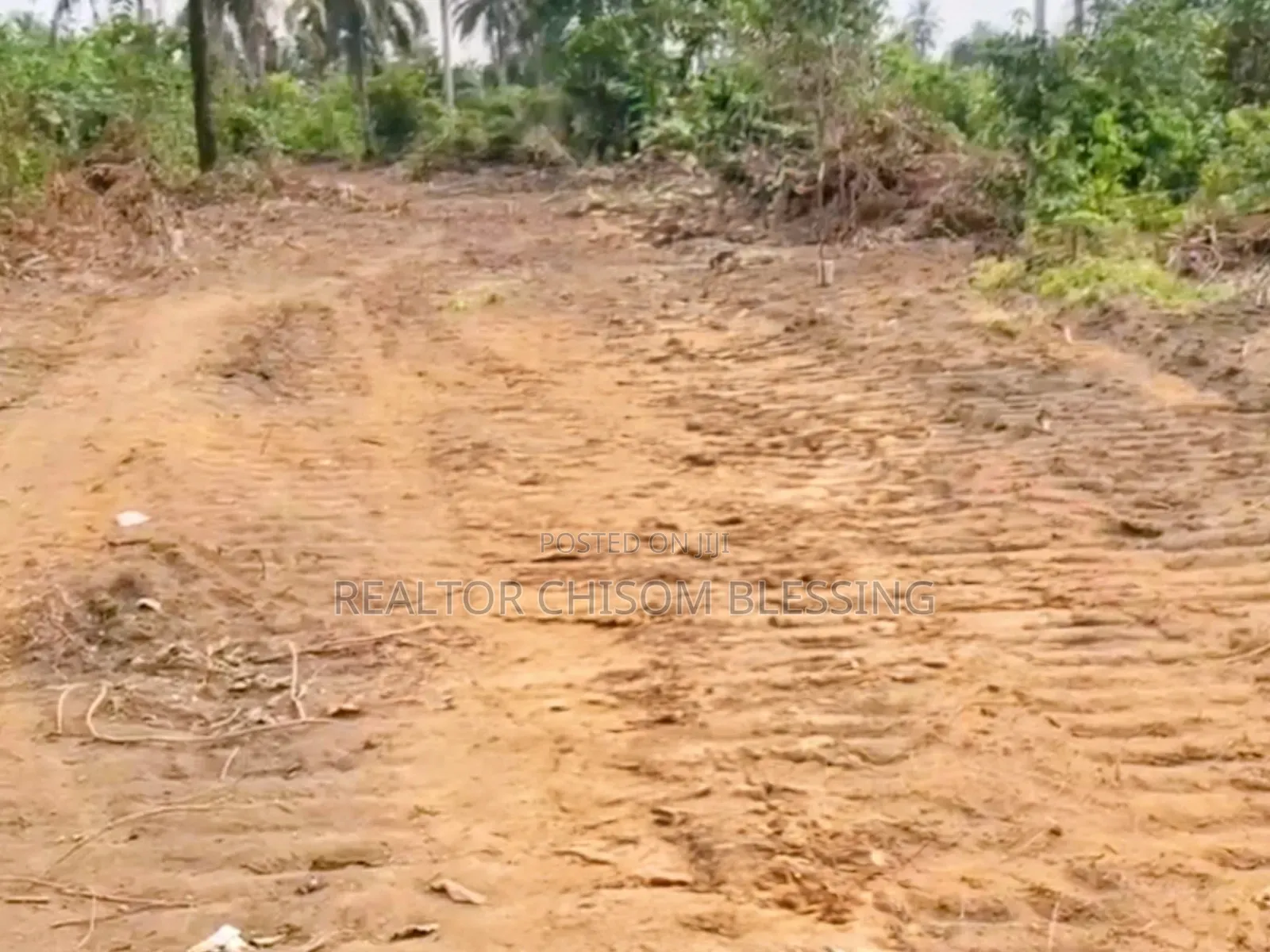 Full Plot at LIMAC Courts Estate, Omagwa, Now Selling!