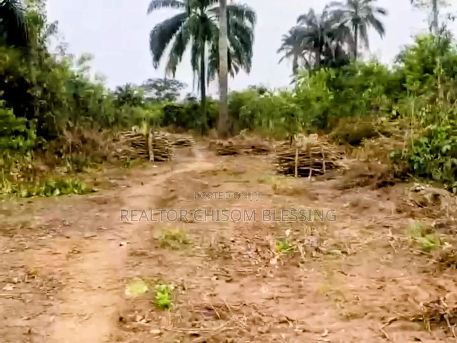 Full Plot at LIMAC Courts Estate, Omagwa, Now Selling!