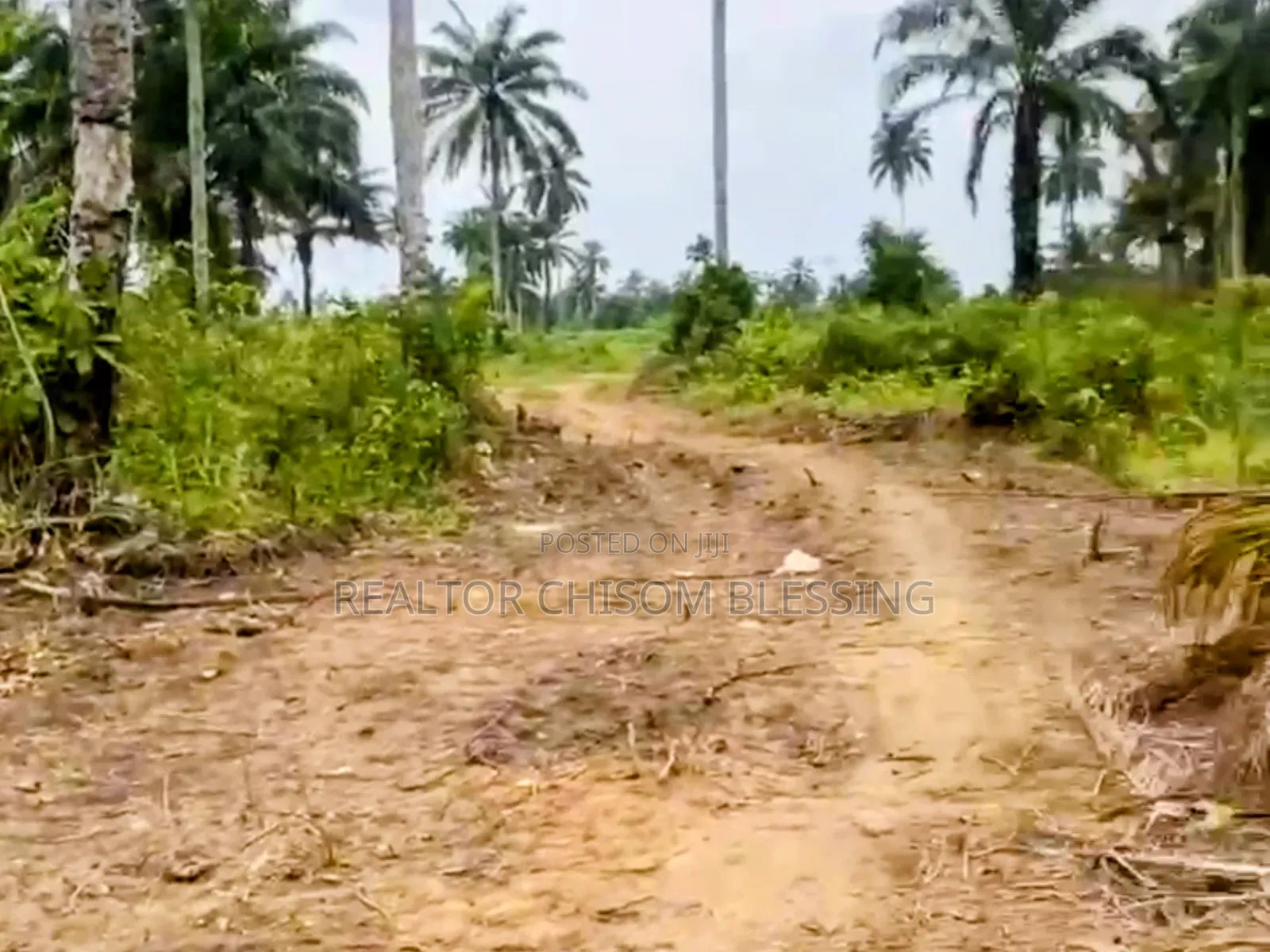Full Plot at LIMAC Courts Estate, Omagwa, Now Selling!