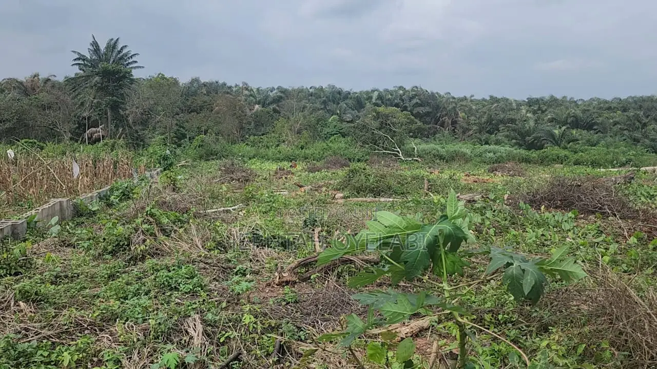 4 Plots of Land for Sale in Imota, Ikorodu