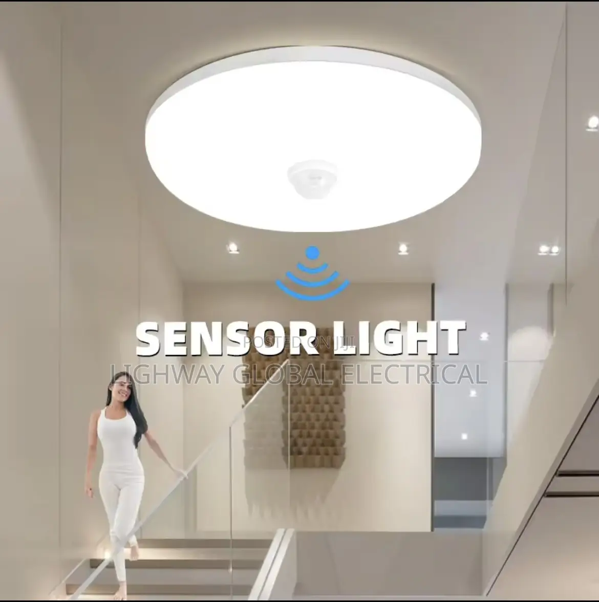 Motion Sensor Ceiling Light