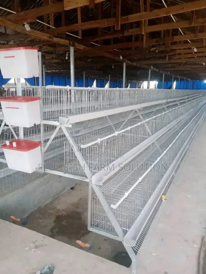 Fortune Poultry Cage