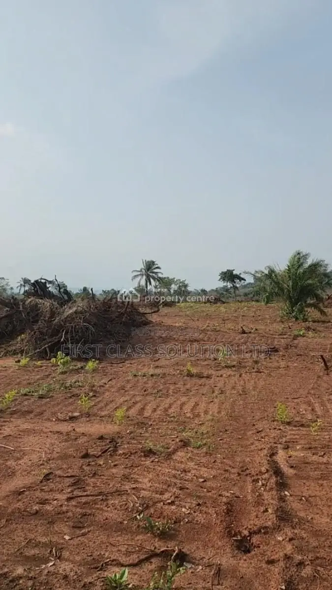 Affordable and Genuine Residential Land Within Good Proximity to Town