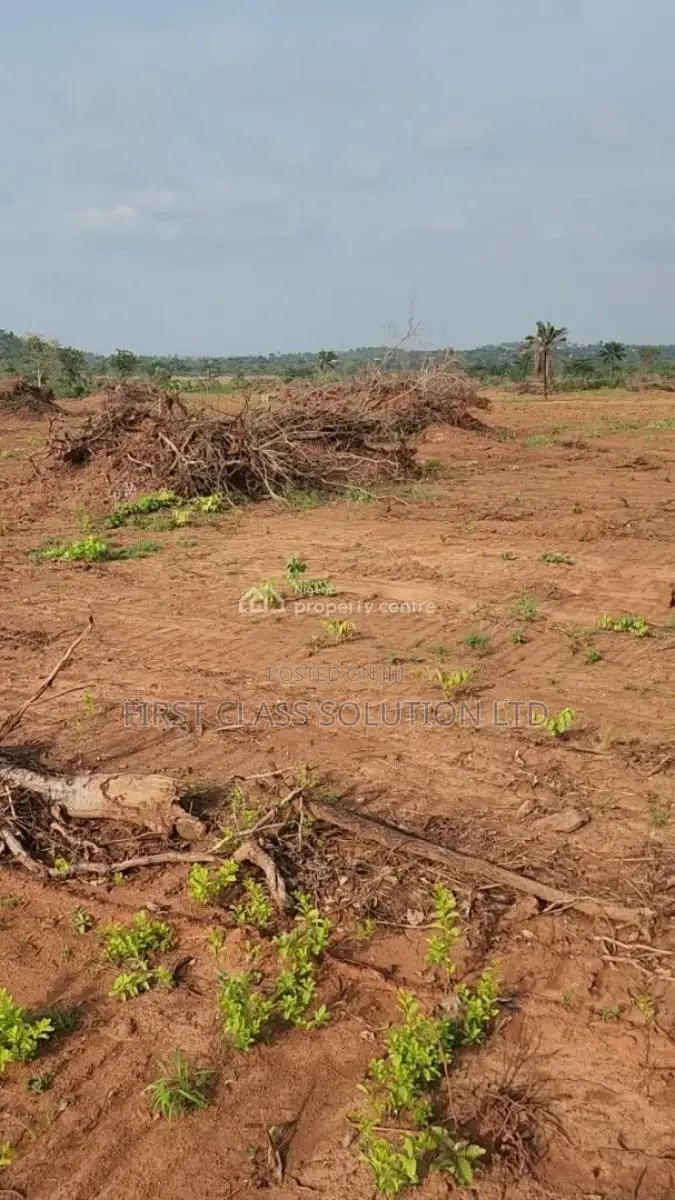 Affordable and Genuine Residential Land Within Good Proximity to Town