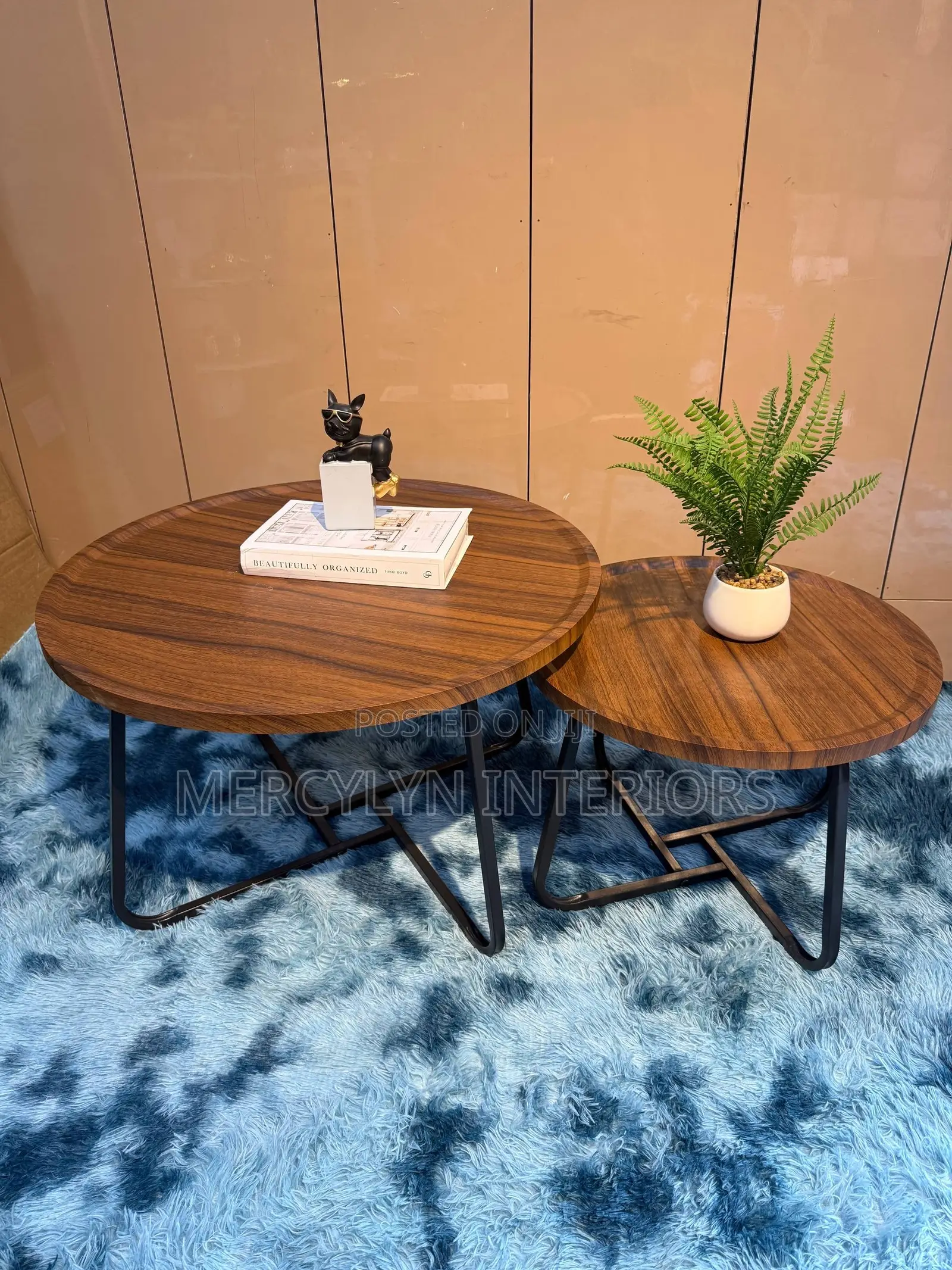2 in 1 Nest Center Table