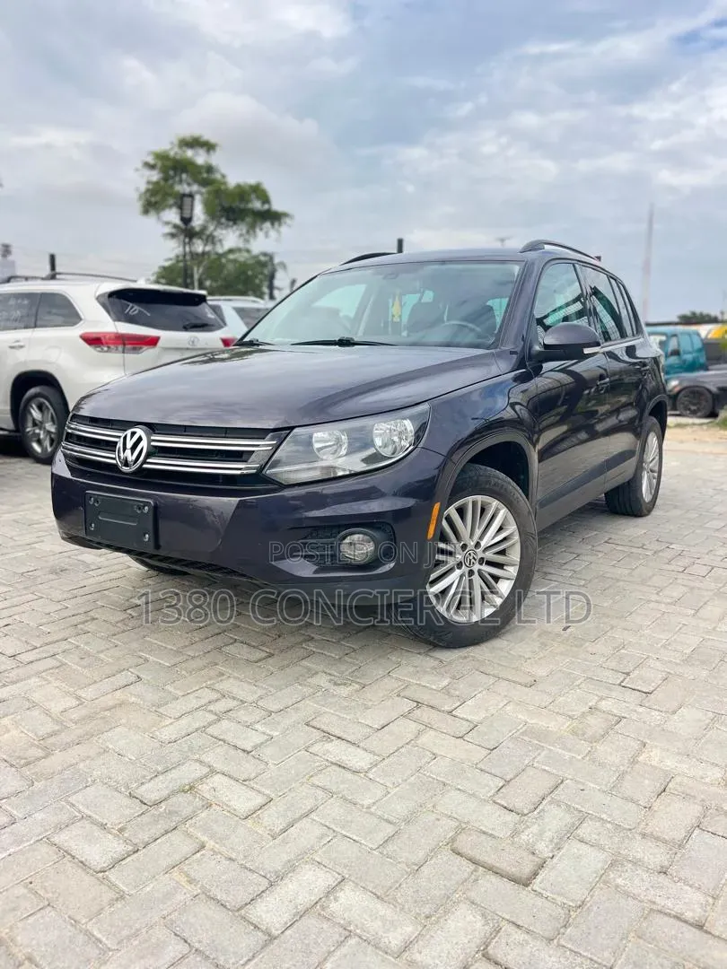 Volkswagen Tiguan 2016 Gray
