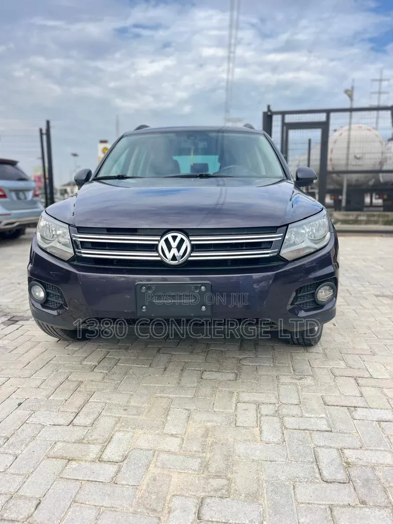 Volkswagen Tiguan 2016 Gray