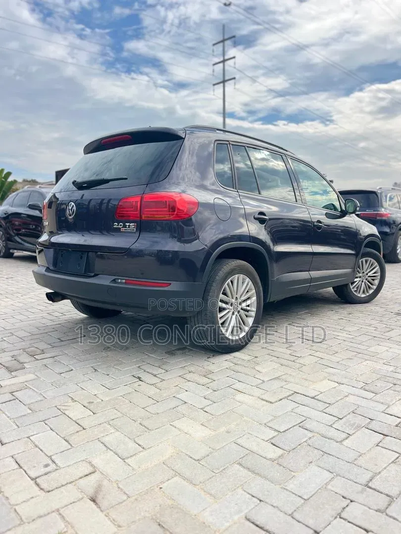 Volkswagen Tiguan 2016 Gray